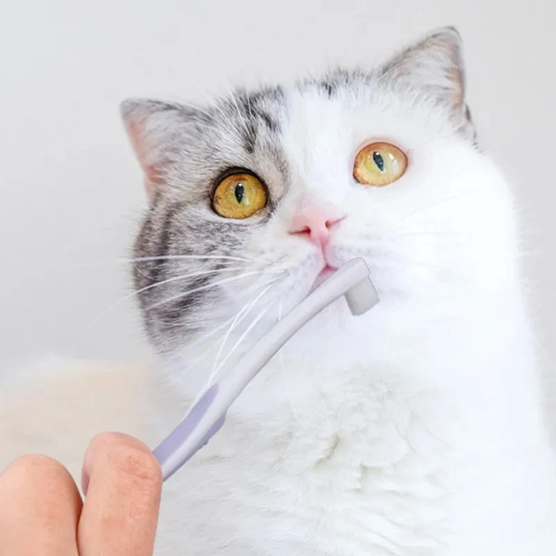 Soft Bristle Dog Toothbrush for Teeth Cleaning Pet Oral Care Brush for Small Medium Dogs Cats