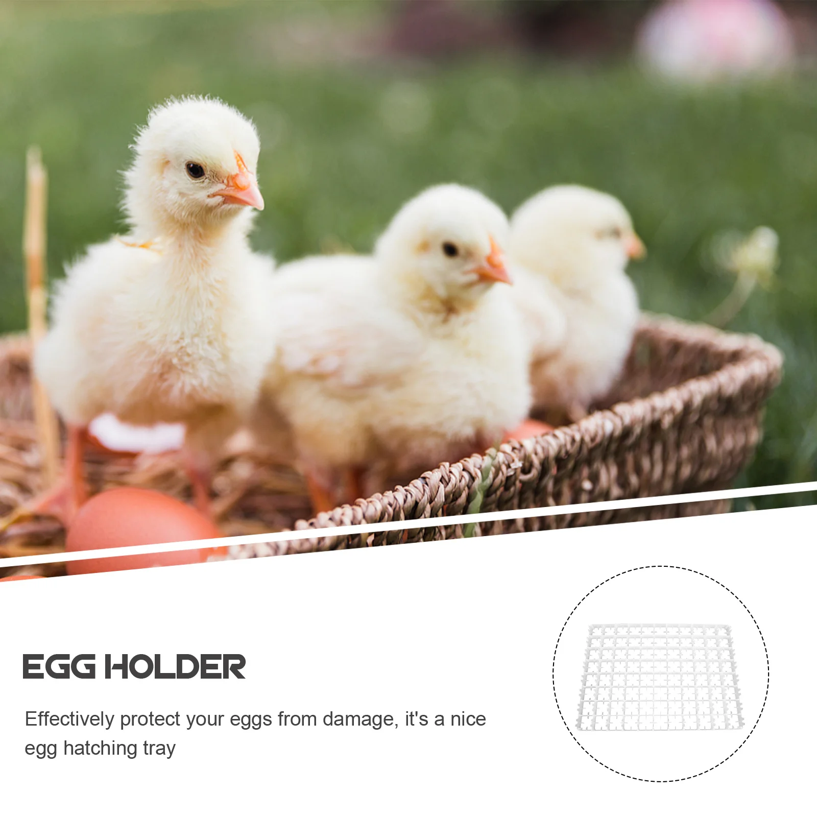 

88 Compartments Incubator Tray Durable Plastic Container Lightweight Storage Effect Protect Eggs Egg Incubator Tray Home Use