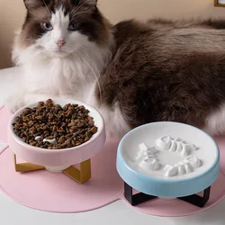 Pet Slow Food Bowl for Cats and Small Dog Ceramic Food Bowl Anti Choking