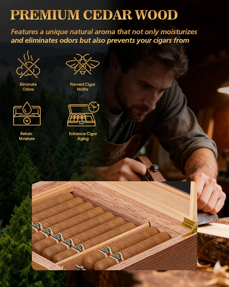 Cigar Humidor with Built-in Music Box System and Cedar Wood Tray-Transparent Top Desktop Humidor,Digital Hygrometer & Humidifier