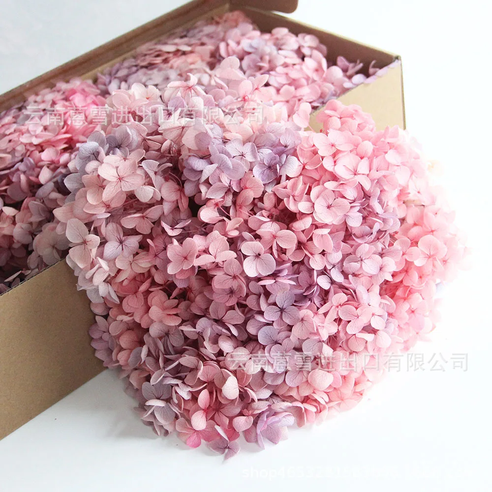 

100 г Высокое качество сохраненная гортензия настоящие вечные лепестки свадебная вечеринка подарок украшение DIY подарок сохраненные цветы украшения