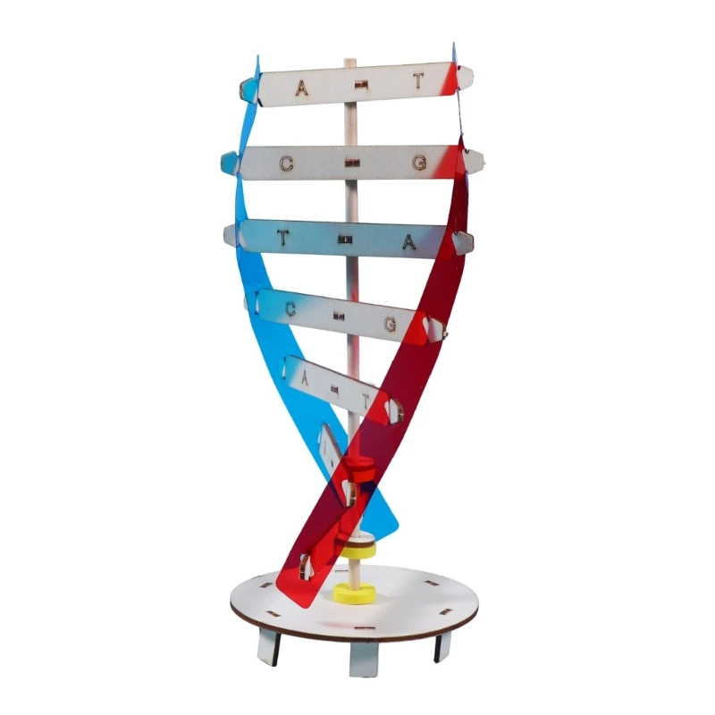 DNAs Model Rotating Human Double Helix Model Kits Human Genes Learning Toy DNA Helix Model Aid Biologic Science Models