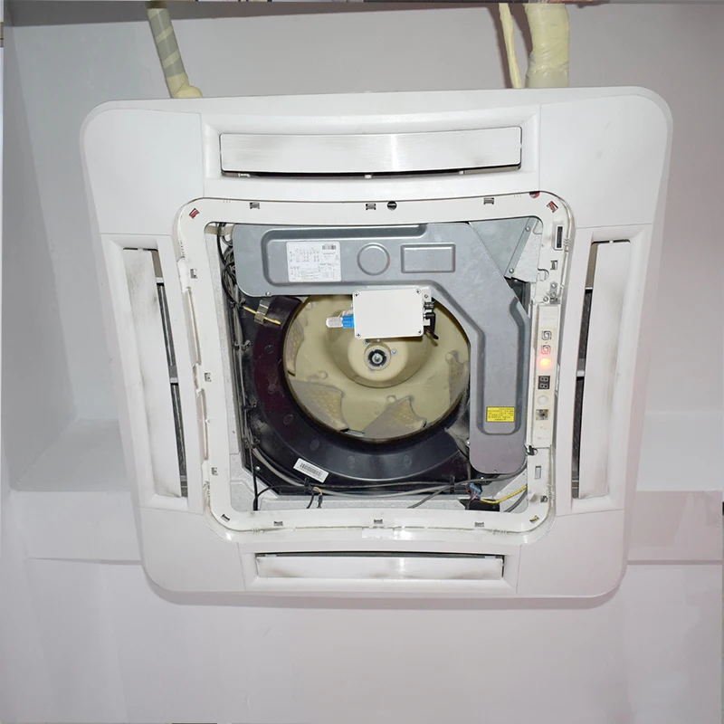 Conditioner Grow Room Duct air Purifier Mini Bipolar Ionizer Plasma Ion Generator for AHU HVAC air