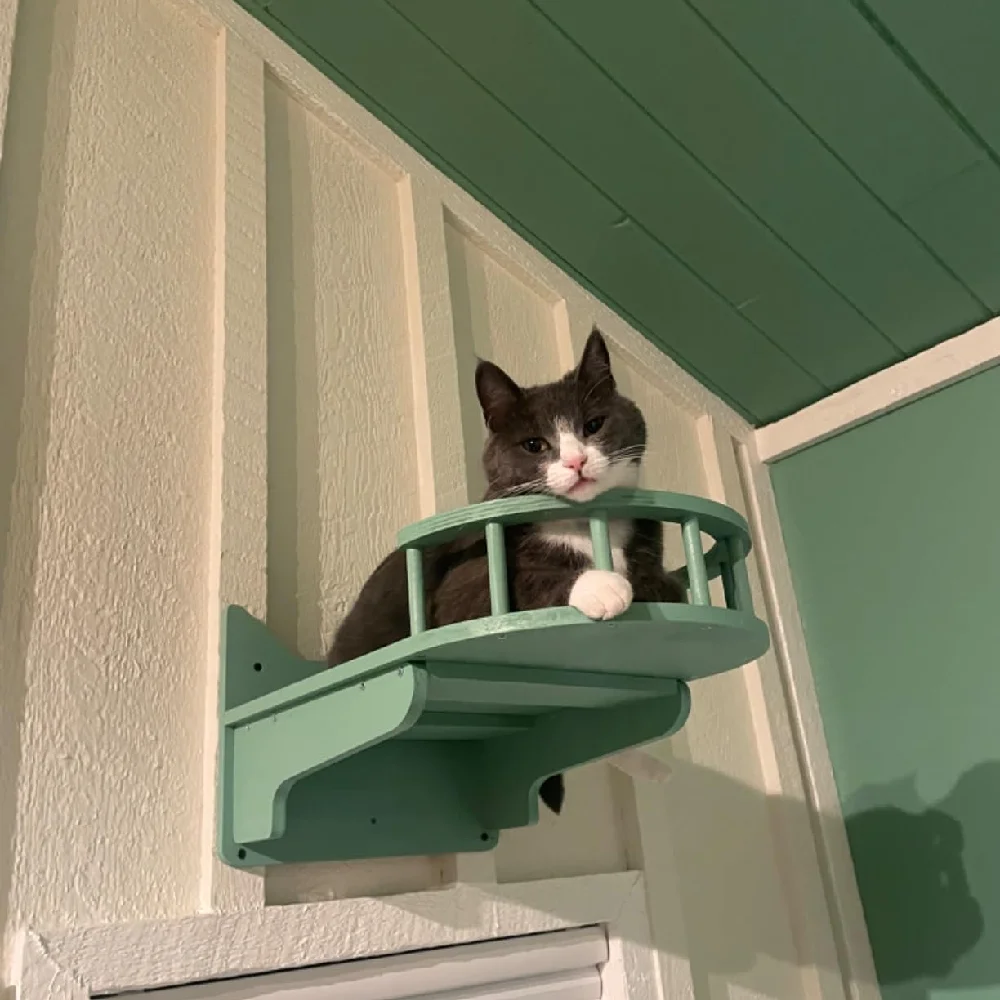 

Wall Mounted Cat Climbing Shelves with Sisal Cat Scratching Post Corner Perches Cats Bridge and Hammock for Kitten Sleeping