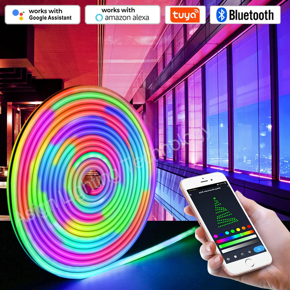 

Dreamcolor LED Neon Strip light 12V RGBIC Dimmable LED Strip Lamp RGB Chasing Flexible Tape Bluetooth Tuya WiFi Voice Control