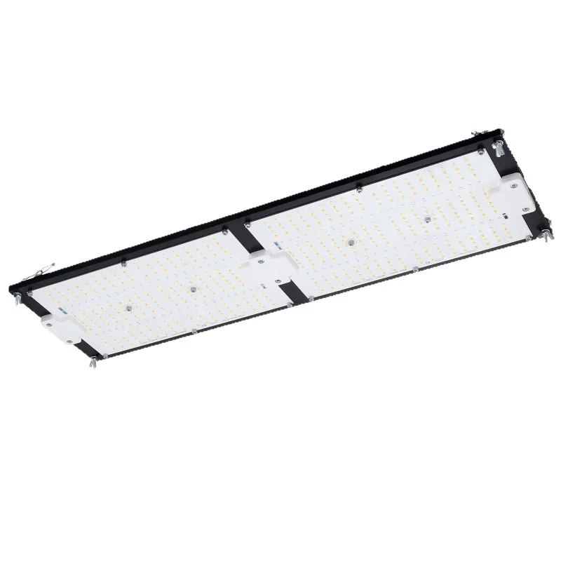 

Бутылка агнуты Трава Крытый пейзаж Посадка Полный спектр Квантовая панель Свет для роста растений