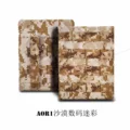 AOR1