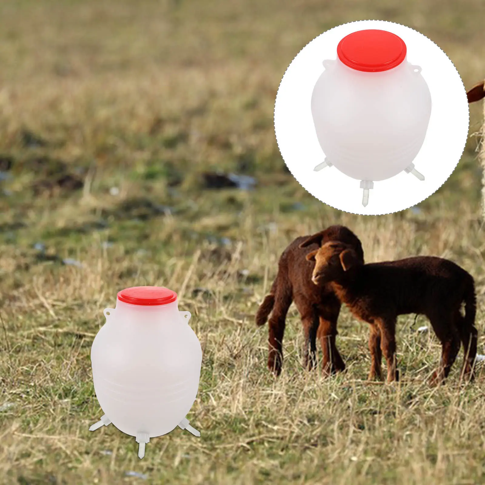 

Lamb Nursing Bottle Kit for Goat Kids and Lambs Natural Sucking Efficient Feeding Device Small Animal Milk Bottle