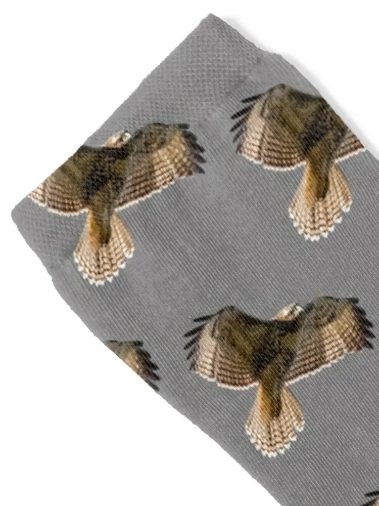 Red-Tailed Hawk Socks custom gym tennis loose Socks Ladies Men's