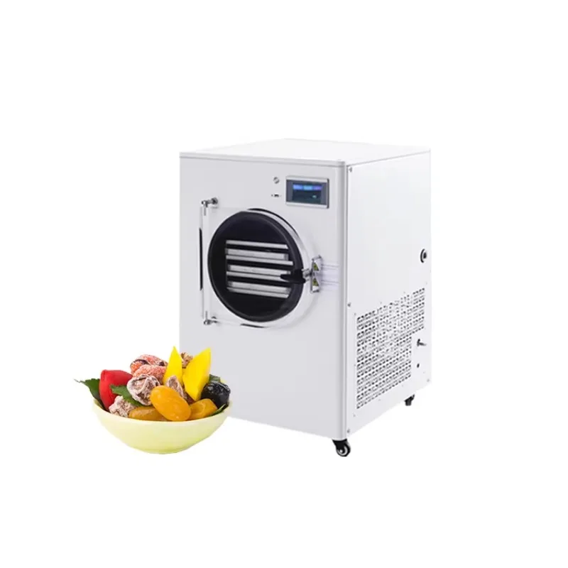 Food Freeze Dryer Machine For Home Use Small Vacuum Freeze Drying Machine China
