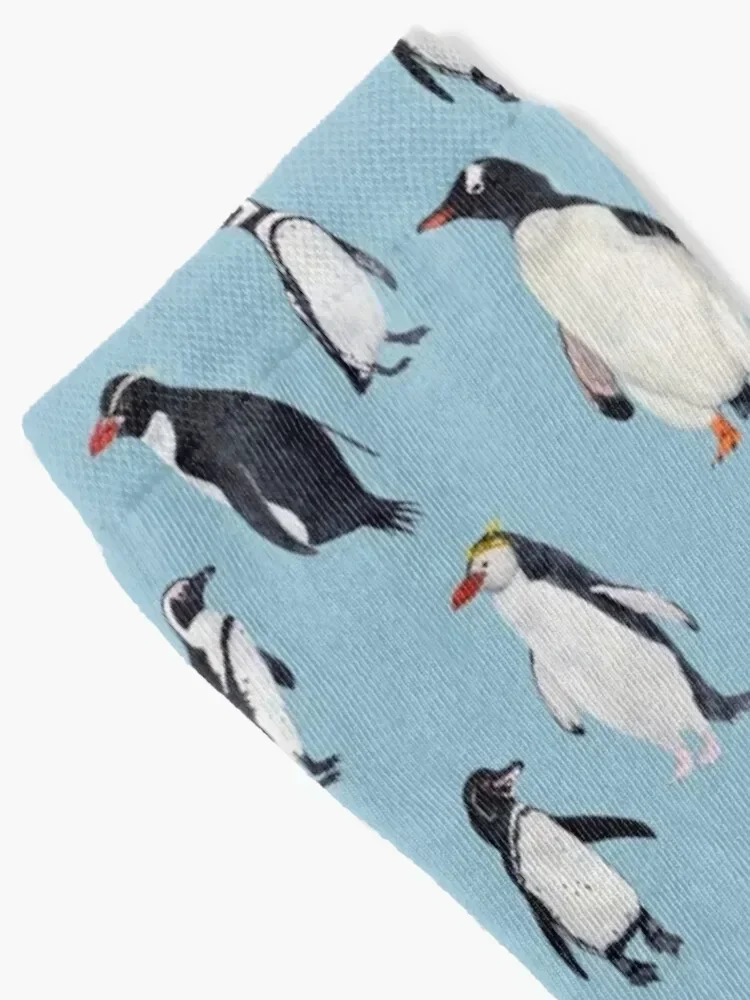 PENGUINS of the world- poster heights Socks warm winter professional running custom custom sports Woman Socks Men's