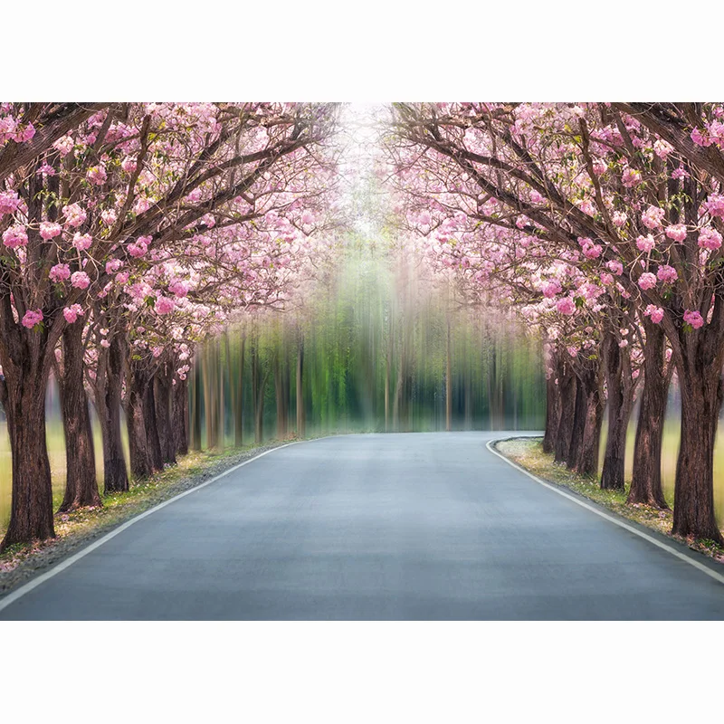 ZHISUXI finestra esterna scenario fotografia sfondo Prop spiaggia albero rosa percorso floreale paesaggio Studio fotografico sfondo FFJ-02