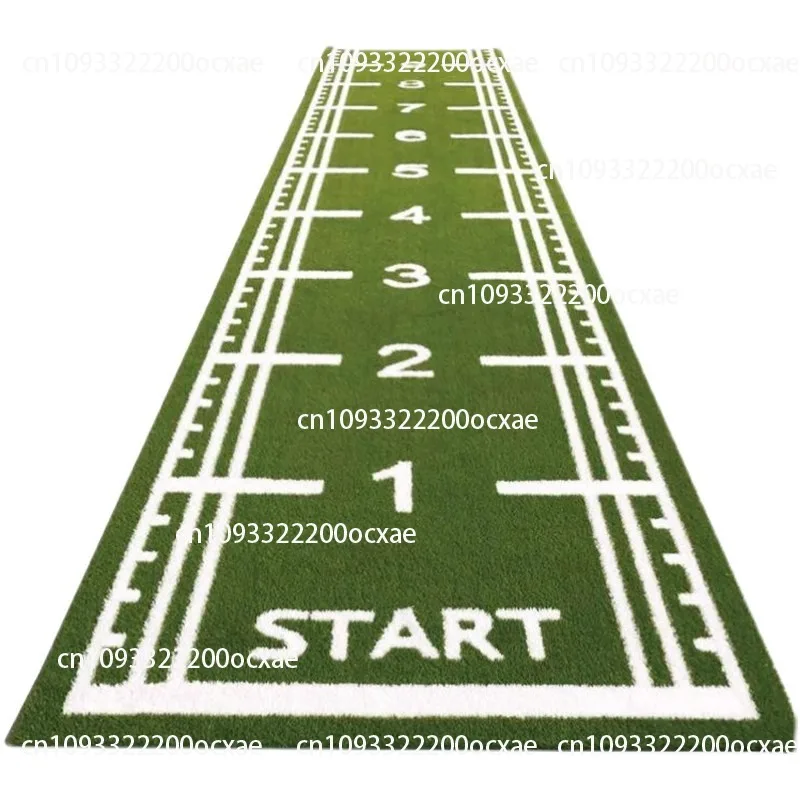 

Gym Lawn Private Classroom Inside White Line Runway Custom Scale Sled Fake Artificial Turf Carpet Customized