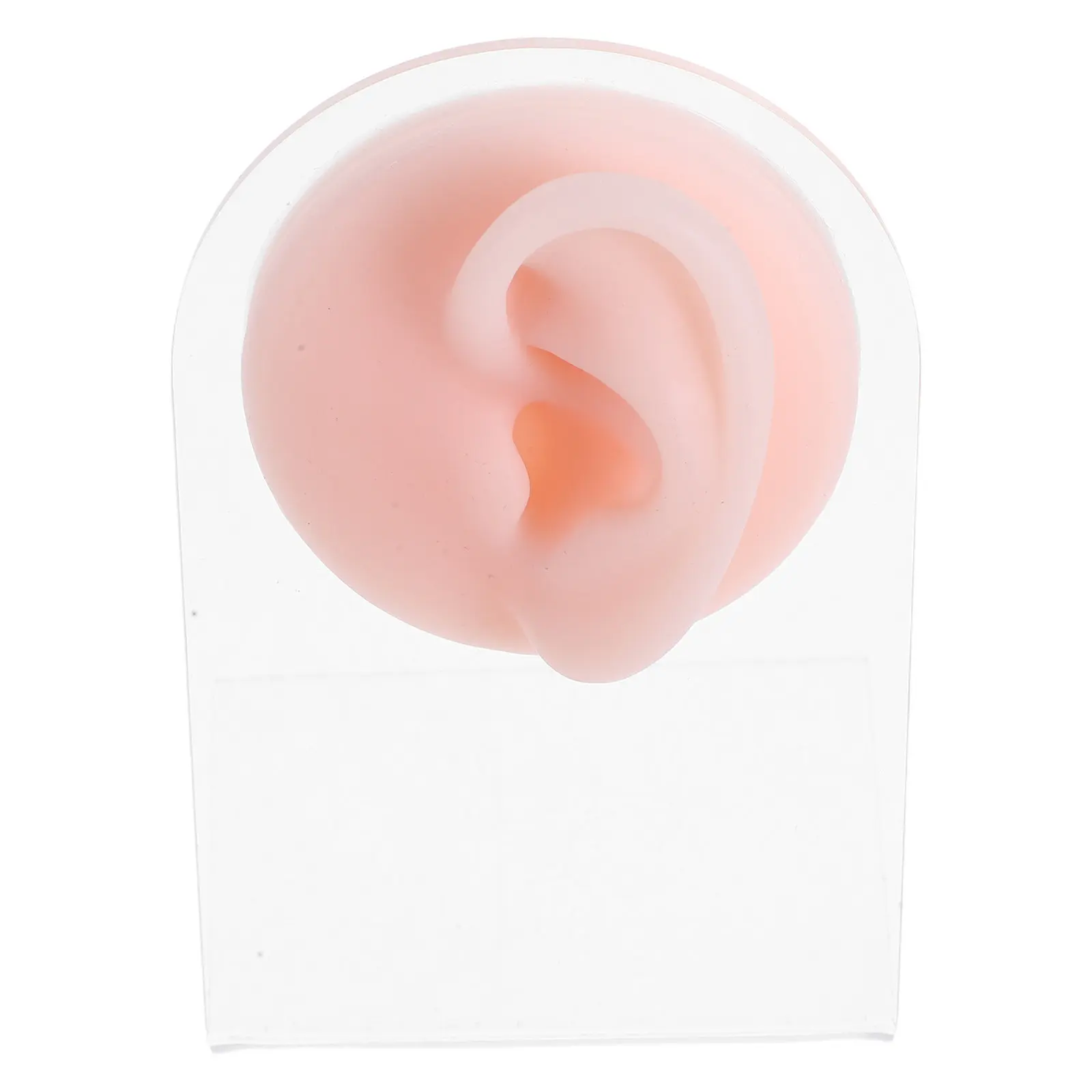 Realistic Silicone Ear Shape Earring Stand Acrylic Display Rack for Jewelry Stores Educational Demo Versatile Earrings Necklaces