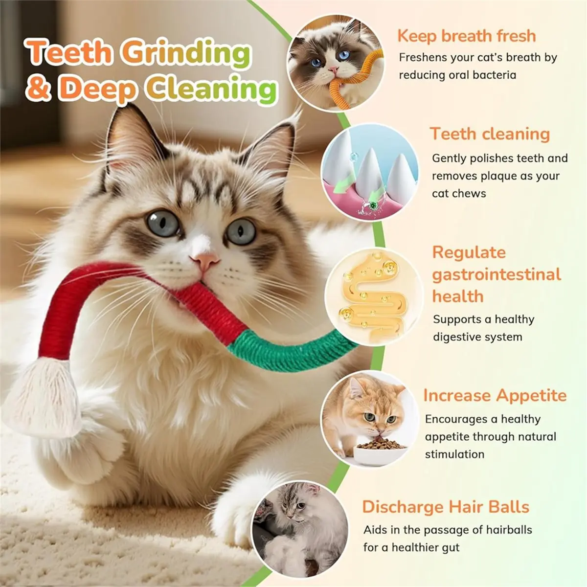 Utility Design 6-teiliges Katzen-Kauseil-Set, 23,6 Zoll, Katzenspielzeug für Hauskatzen mit Naturgallfrucht, Interaktives Katzen-Seilspielzeug