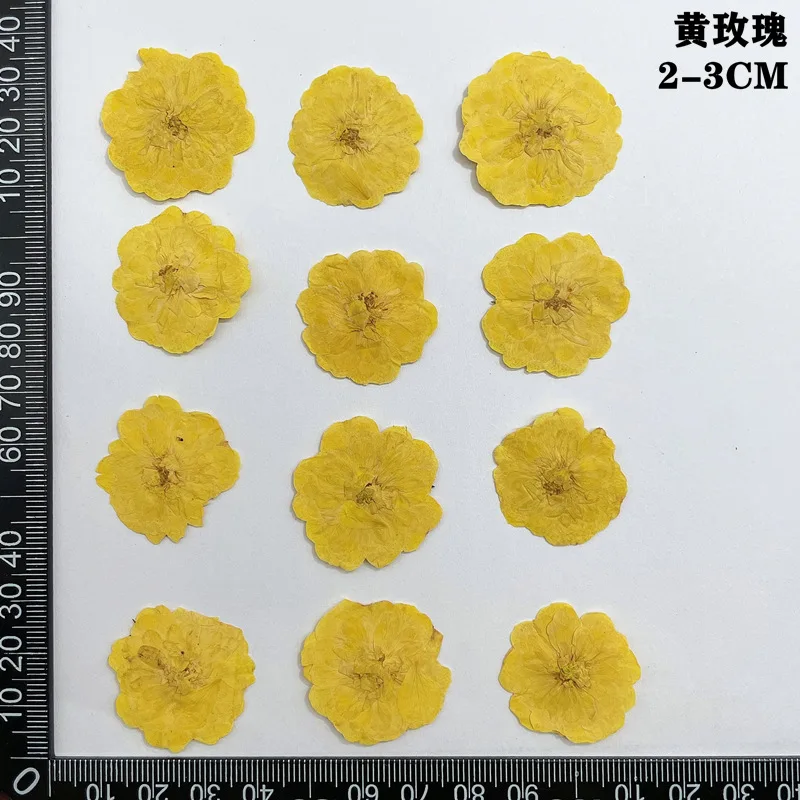 60 個プレス乾燥赤黄ピンクローズフラワー植物ハーバリウムジュエリーブックマークスクラップブック電話ケースキャンドルランプシェード DIY