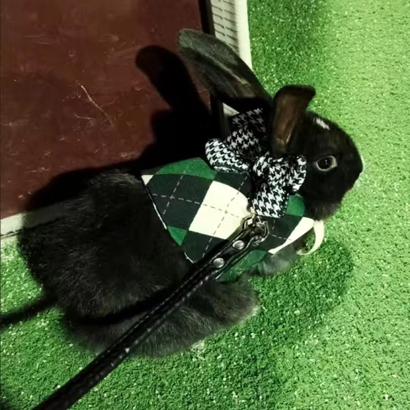 Headsome Rabbit Chinchillas School Uniform Clothes with Harness Walking Pet Harnesses and Leash Set for Small Animals Guinea Pig