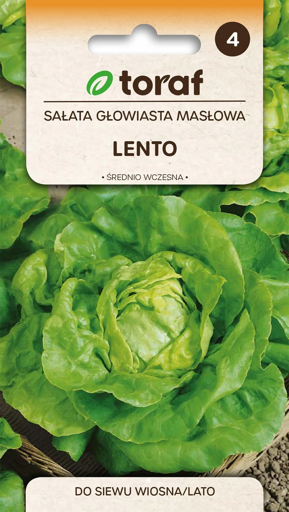 Groentezaden LENTO boterlaatjesla 1G Toraf 237