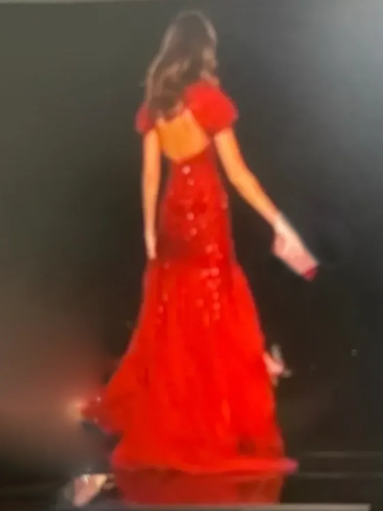 Chic Red Scoop Collar Sequined Beading Straight Formal Evening Dresses Birthday Party Prom Gowns Customized image 4