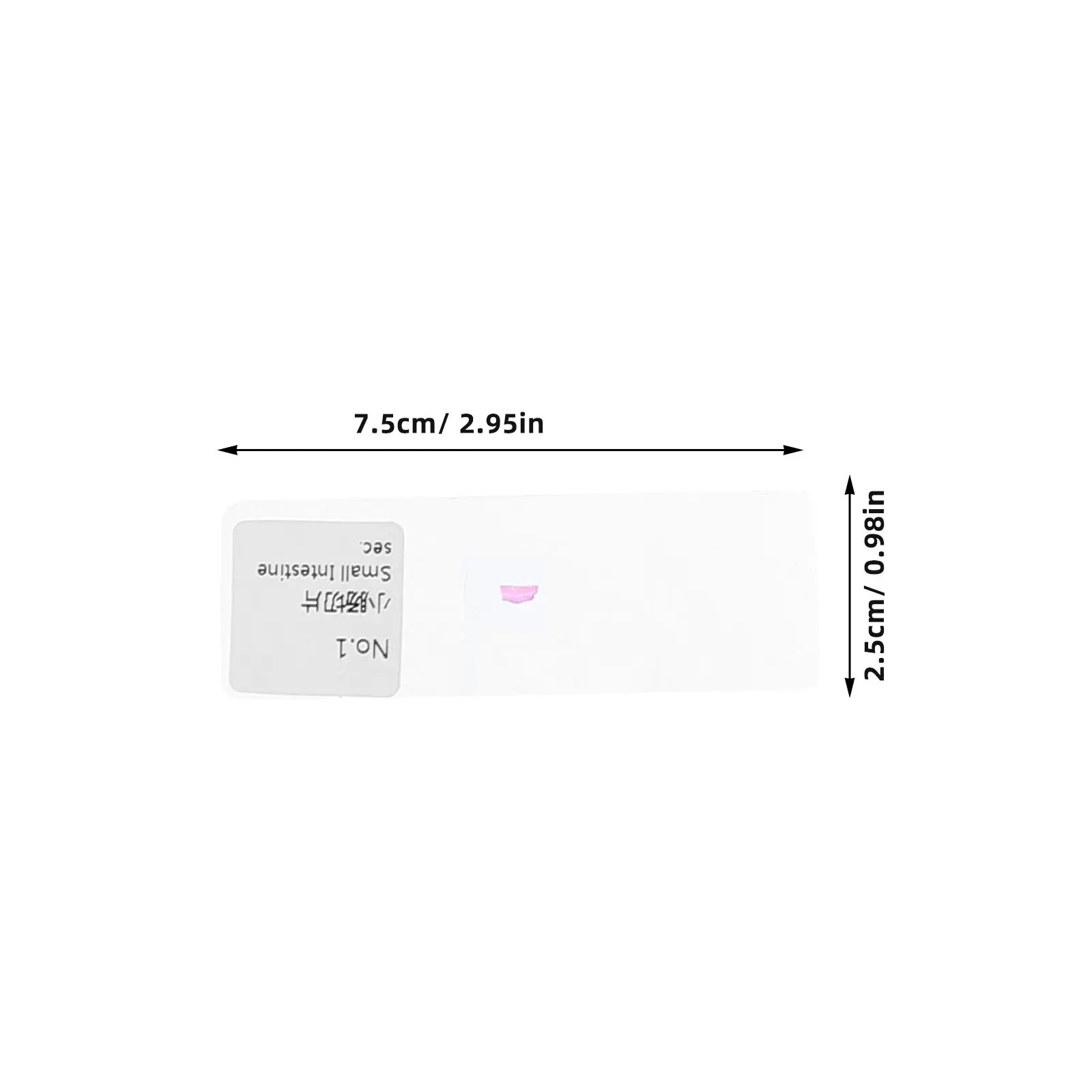 30Pcs Microscope sample Slides Optical Glass Clear Precision Samples Lab Teaching Microscopy Skills Cell Analysis