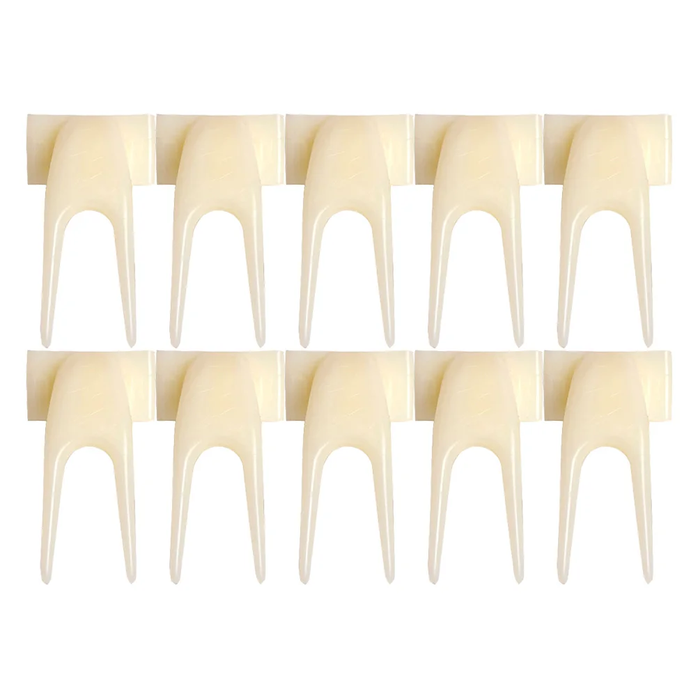 

15pcs Fruit Feeder Plastic Bird Feeding Fork Small Parrot Accessory Holder Compact Durable Healthy Material Reusable