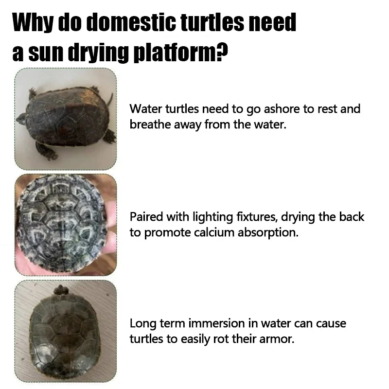 1PC S/M/L Size Turtle Platform Float Decoration Terraces Ramp Reptile Resting Habitat Decor Aquarium Accessories 2025 view 5