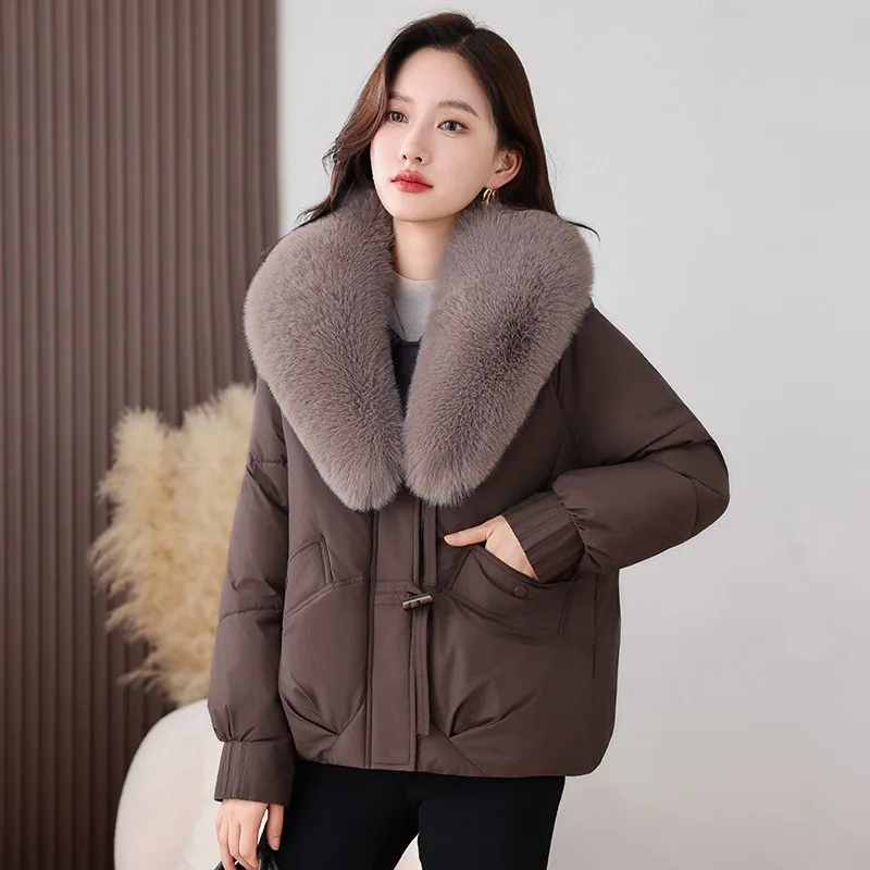 

Casual Winter Down Cotton Jacket Coats Thick Women's Parka Big Fur Collar Short Cotton Jacket Fashion New Temperament Outerwear