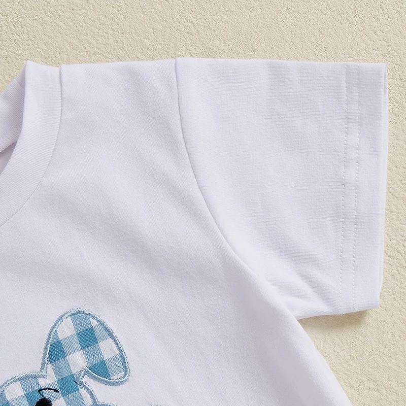 아기 소년 부활절 복장, 반팔 자수 토끼 티셔츠, 격자 무늬 반바지, 2 피스 복장