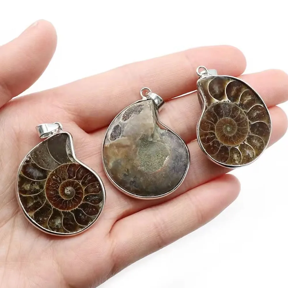 Přírodní kameny přívěsky ammonite seashell hlemýžď oceán reliquiae ulita okouzluje šperků vytváření DIY živočich řetízek příslušenství 1ks