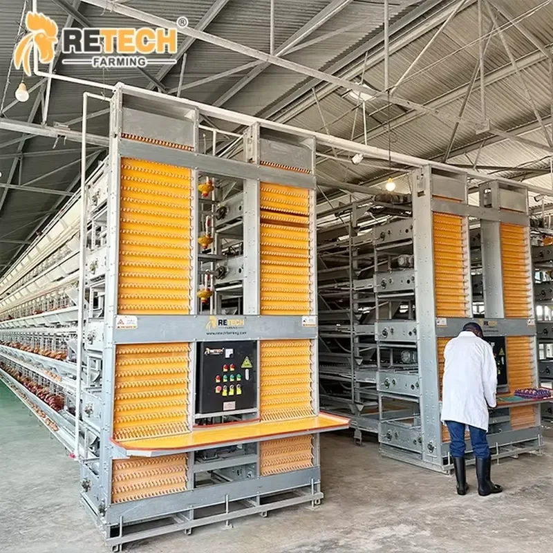 Automatic H-Type Layer Chicken Battery Cage Equipment with Egg Collecting for Retech Design Poultry House Structure Building