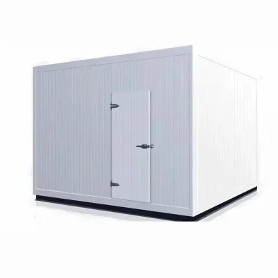 Commercial Blast Freezer Container Provided Mini Cold Storage Cool Room 50 Tons