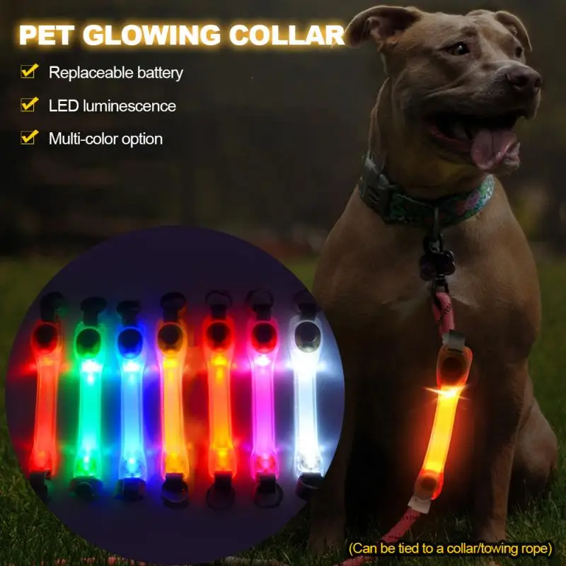 Thumbnail 3 - #13 Cheap LED Dog Collars Worth Buying