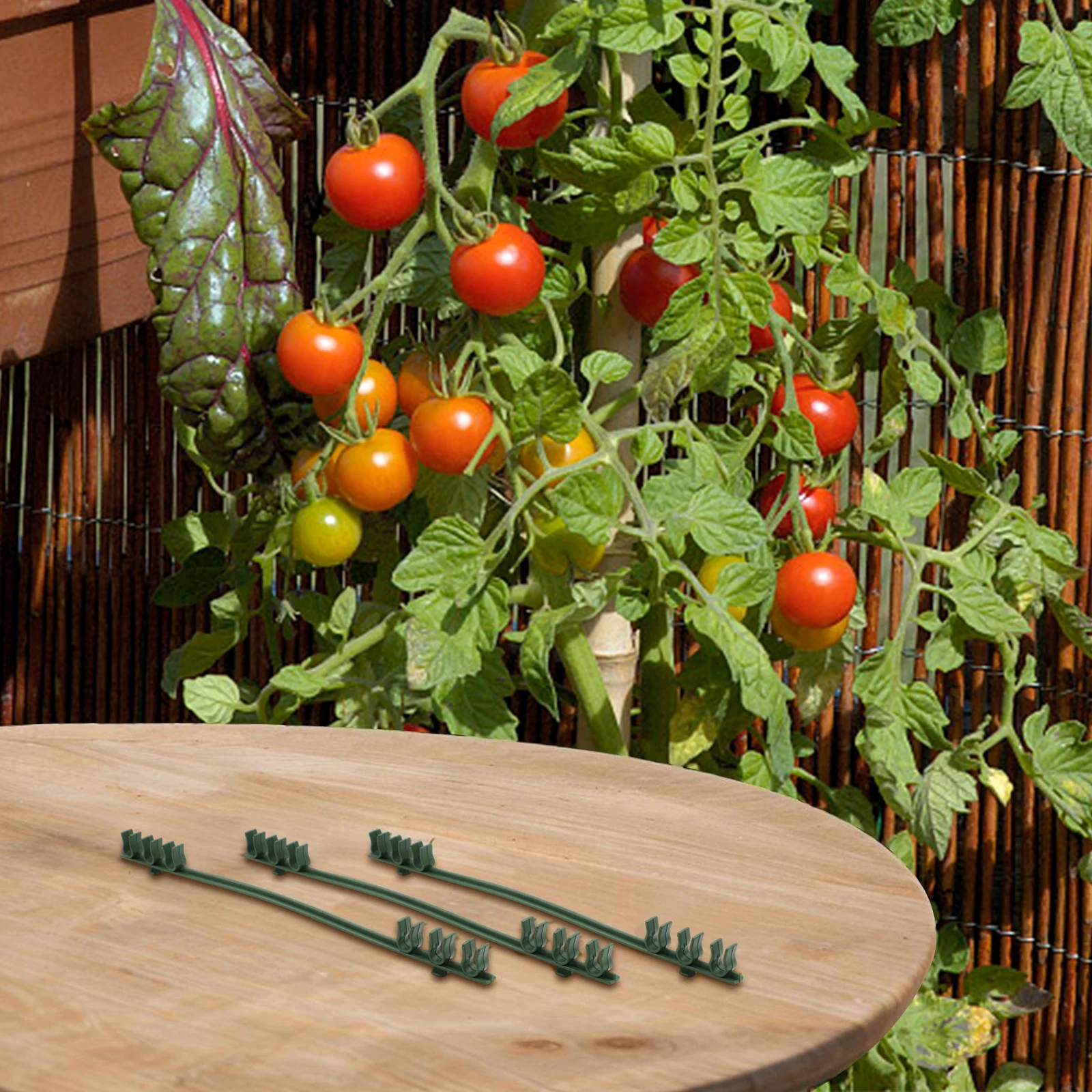 

Набор вертикальных опор для садоводства, простая установка, подходит для небольших участков, для круглых трубок диаметром 8 мм, опорные стержни для томатов