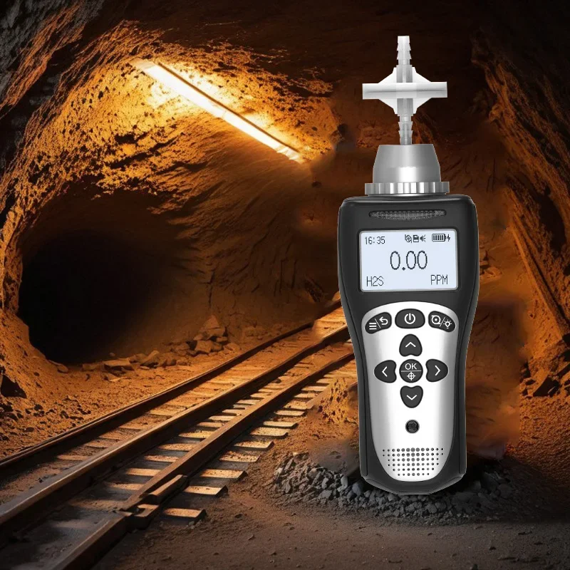 Portable hydrogen sulfide detector H2S gas concentration monitoring