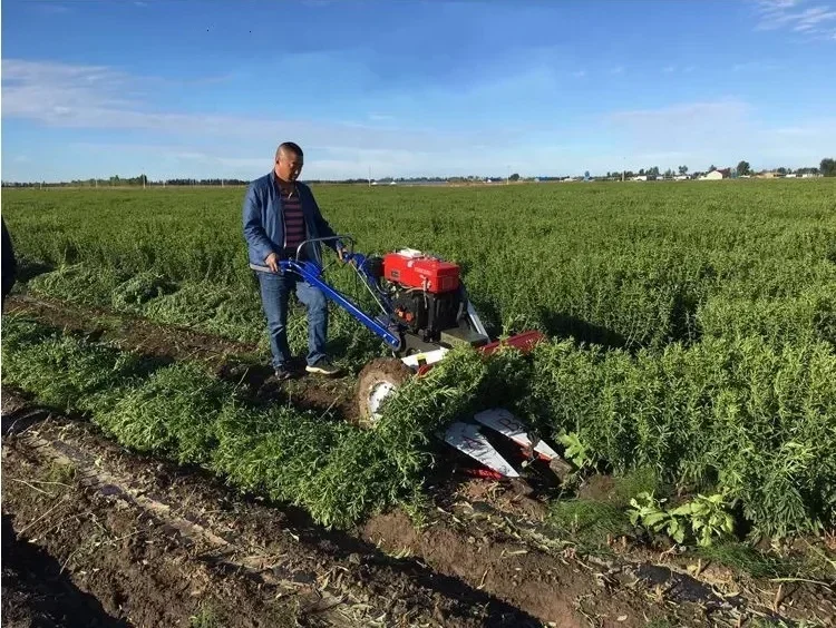المزرعة المستخدمة Cosechadora Moissonneuse باتيوز يجمع بين آلات حصاد أرز القمح الصغيرة تجمع الحصاد للبيع