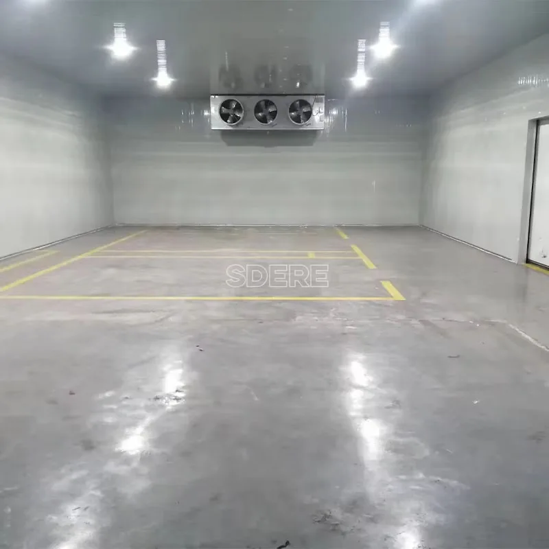 تخصيص اللحوم التجارية الخضروات المأكولات البحرية غرفة التخزين البارد المشي في مبرد الفريزر معدات الصف التجاري