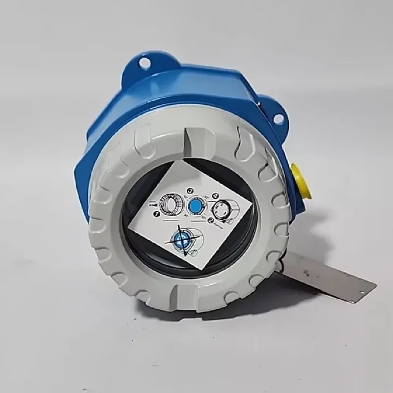Factory Direct Endress+Hauser ModuLine TM131 Industrial Modular Thermometer Metric RTD/TC Thermometer TM131-86ANBAA2