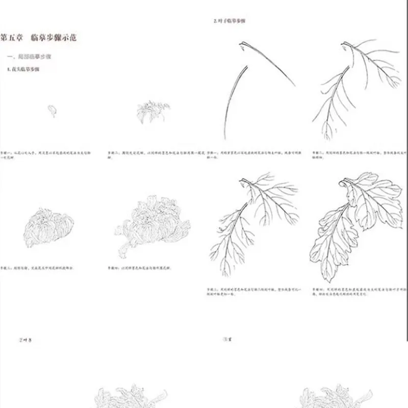 Chinese Painting for Beginners: Lotus Line Drawing Techniques (Baimiao) – Step-by-Step Ink Art Tutorial Book