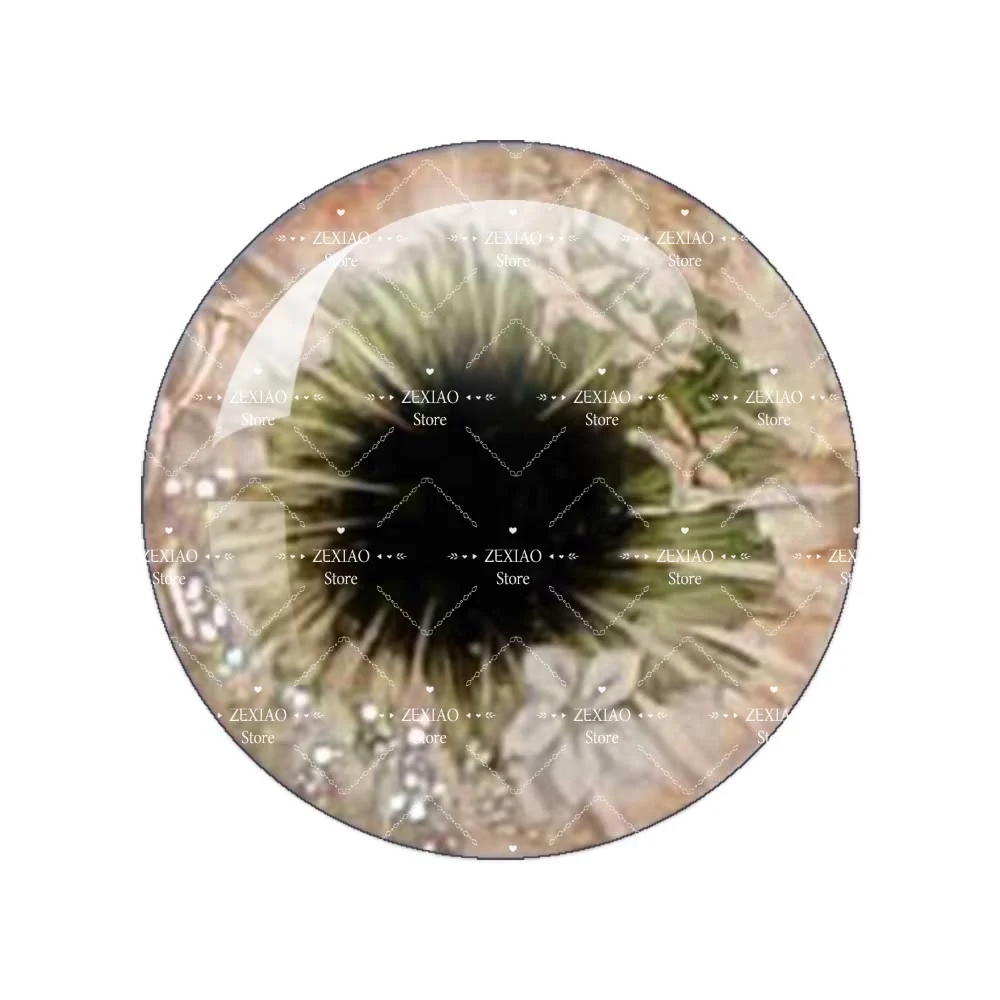 12Pairs/Bag Eyes Chips Suitable for Blythe Doll 10mm/12mm/14mm/16mm Pupil Glass Cabochons DIY Accessories Eye Piece Wholesale view 5