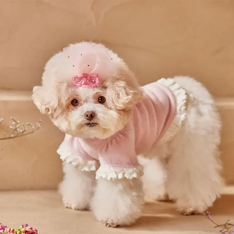 Fashion Lace Base Coat Dog Skirt Teddy Small Dog Princess Wind Clothes Cat Clothing New  Dog Clothes for Small Dogs