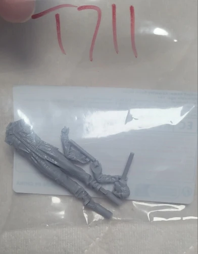 Buyer photo of this resin kit