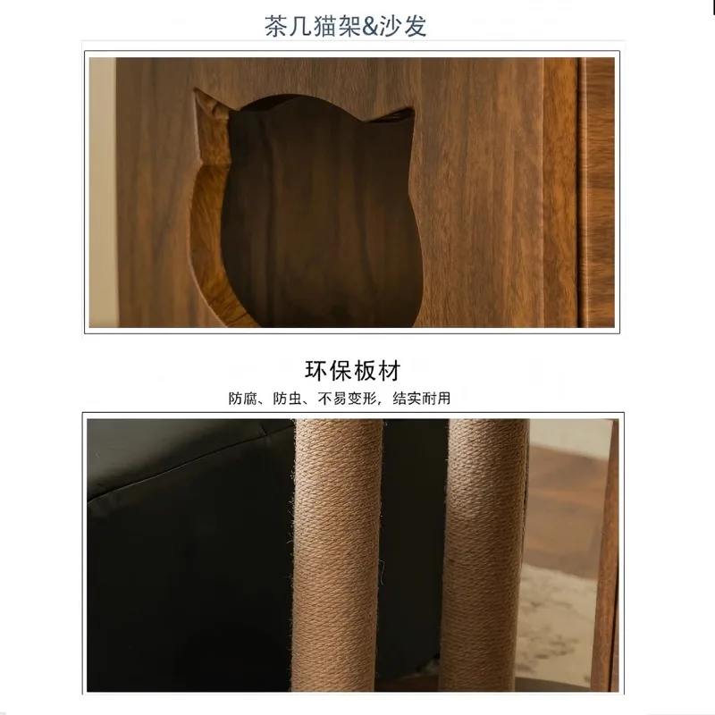 People pet cat nest sofa coffee table people cat shared furniture side few carts household small apartment cat crawling stroking