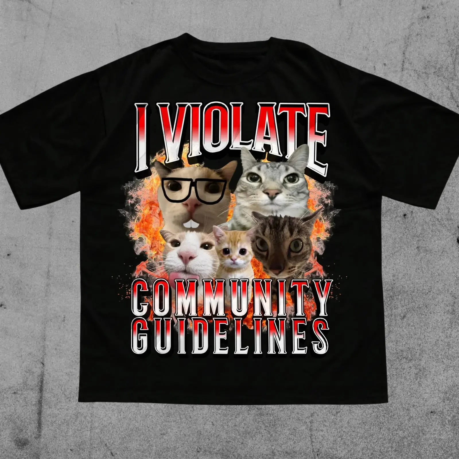 T-shirt Meme Chat Maudit « J'violai les règles communautaires » – Humour Noir Audacieux, Génération Z, Amusant, Vintage, Délavé, Décontracté, Polyvalent, Tendance