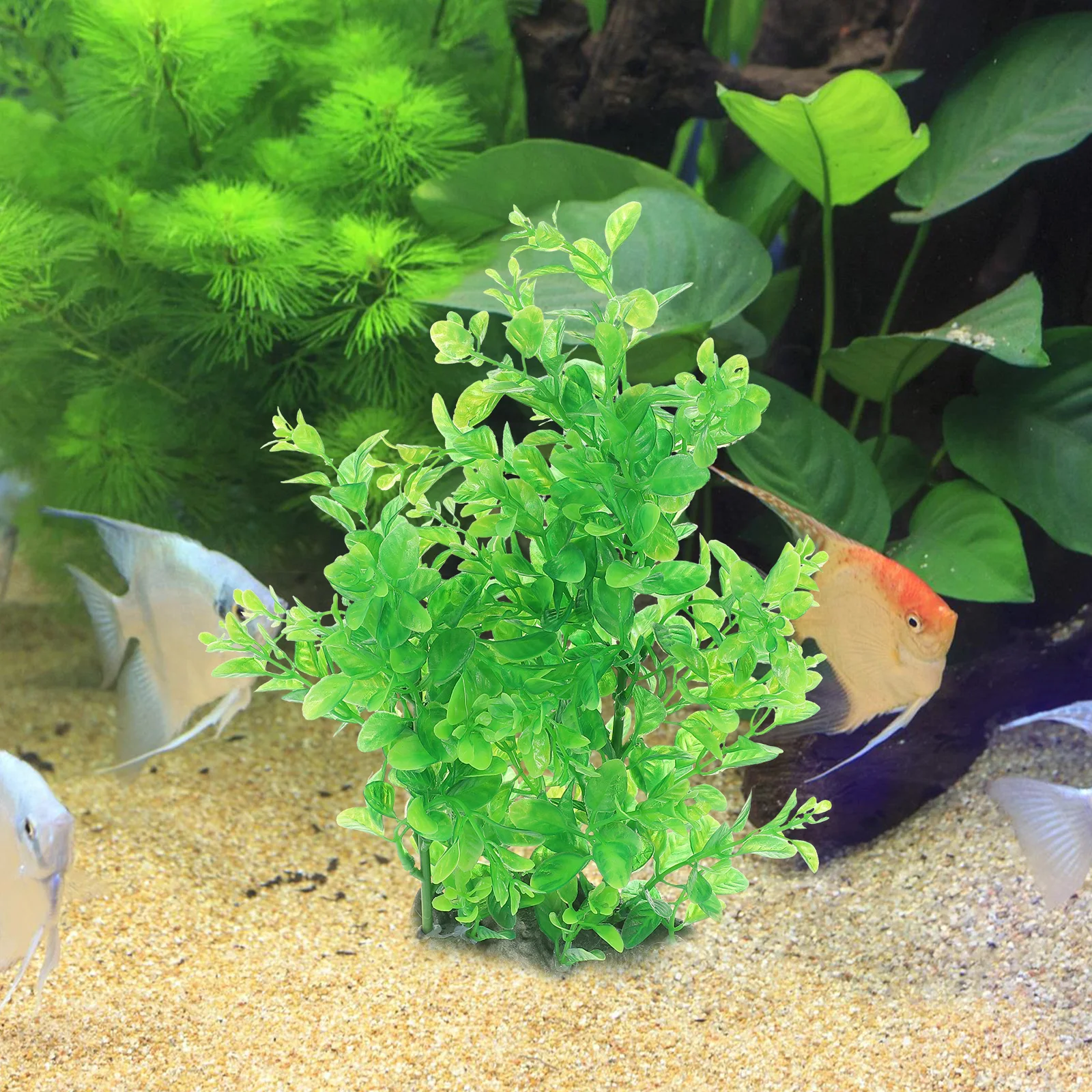 

Realistic Green Aquarium Plants Fish Tank Decorations Artificial Water Grass For Reptile Terrarium Turtle Tank Landscape