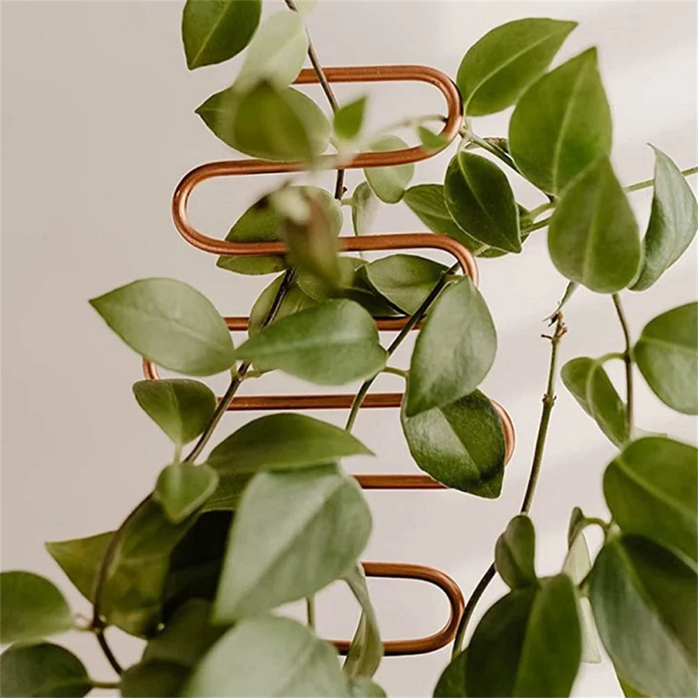 Metal Trellis for Climbing Plants Indoor in the Garden, Plant Climbing Rack Potted Plants Gold Trellis Support Garden Supplies