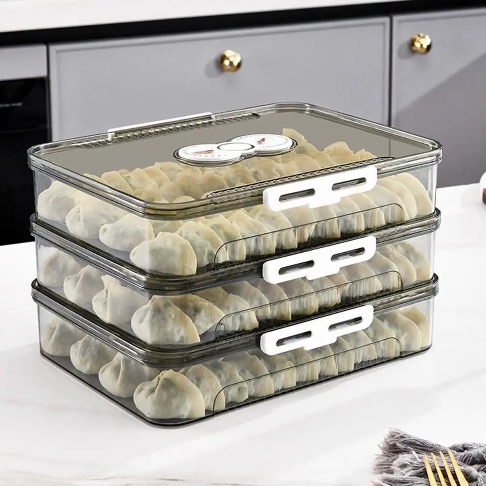 PET Dumpling Storage Box Food Grade Frozen Fresh-keeping Box for Refrigerator Transparent Timing Food Storage and Sorting Box