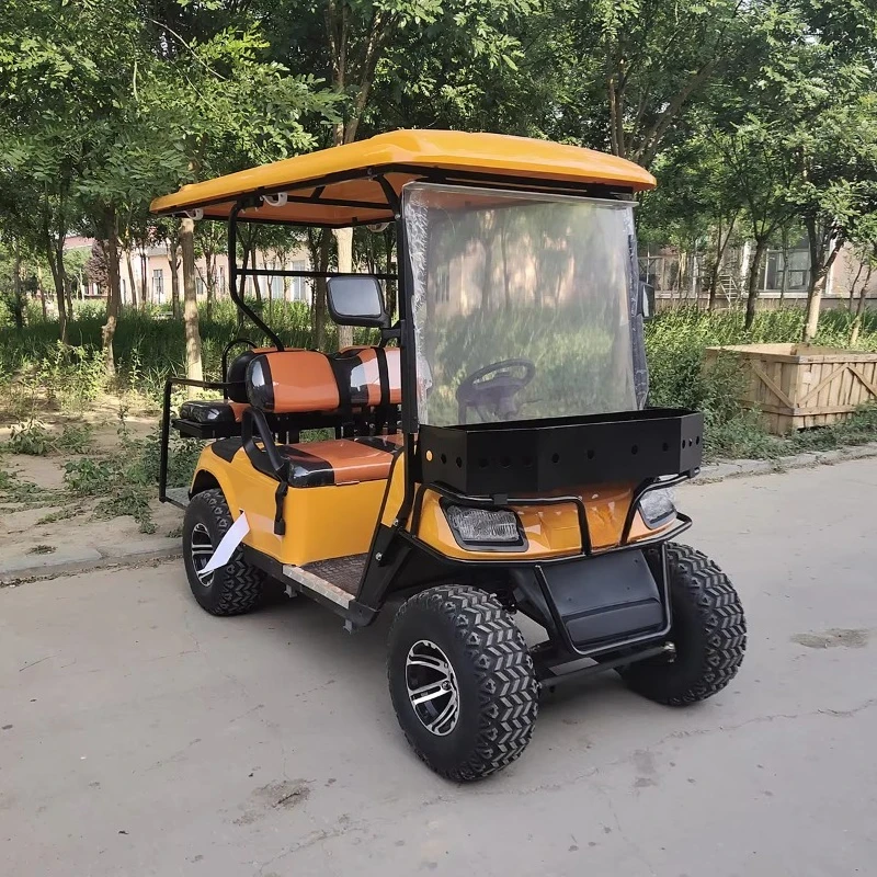 Golf Cart with Multiple Model Options for Golf Course Transportation and Outdoor Recreation DDL