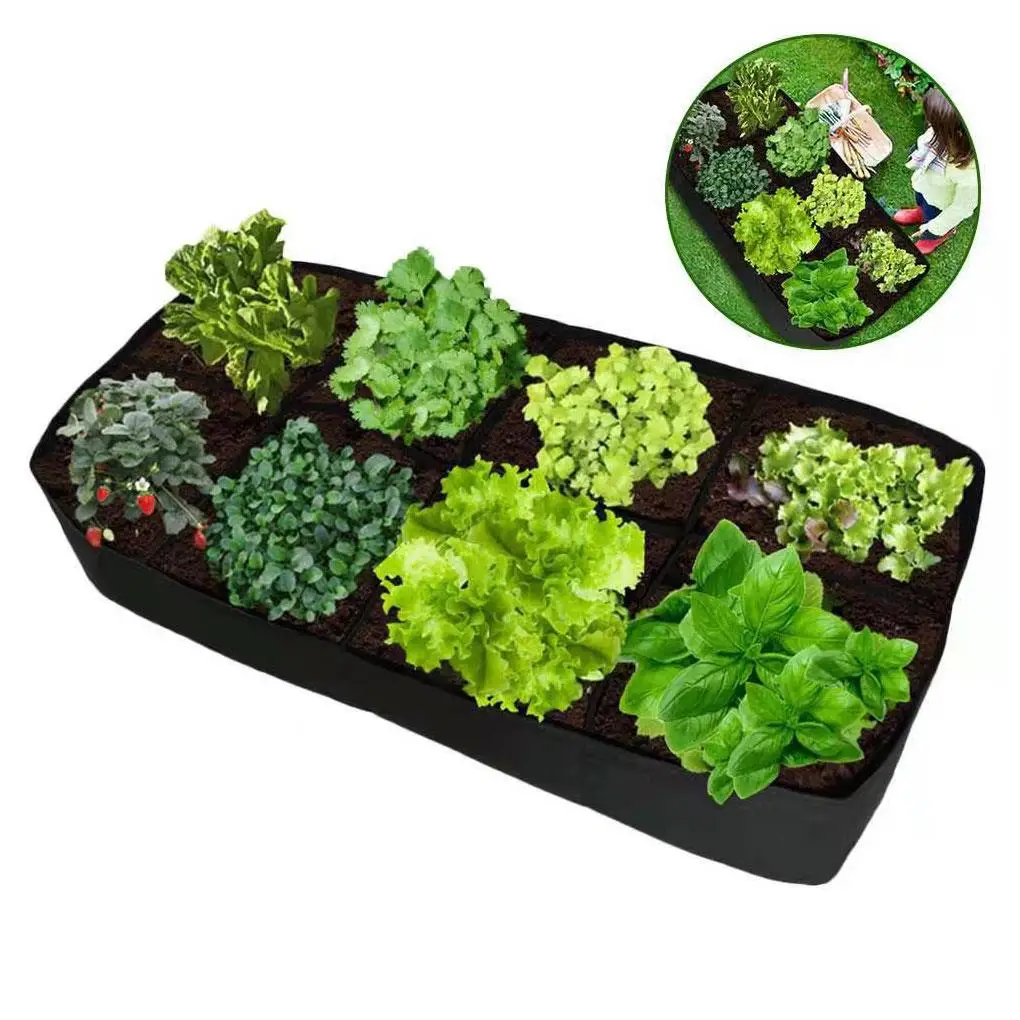 Promote Healthy Growth With Multi Grid Planting Bags Promotes Healthy Growth Of Plants Felt Reusable