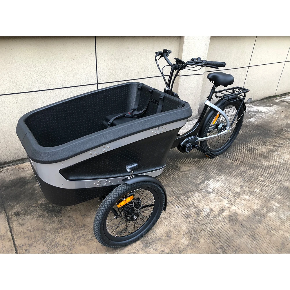 24 inch fat tire folding  three wheel E bikes