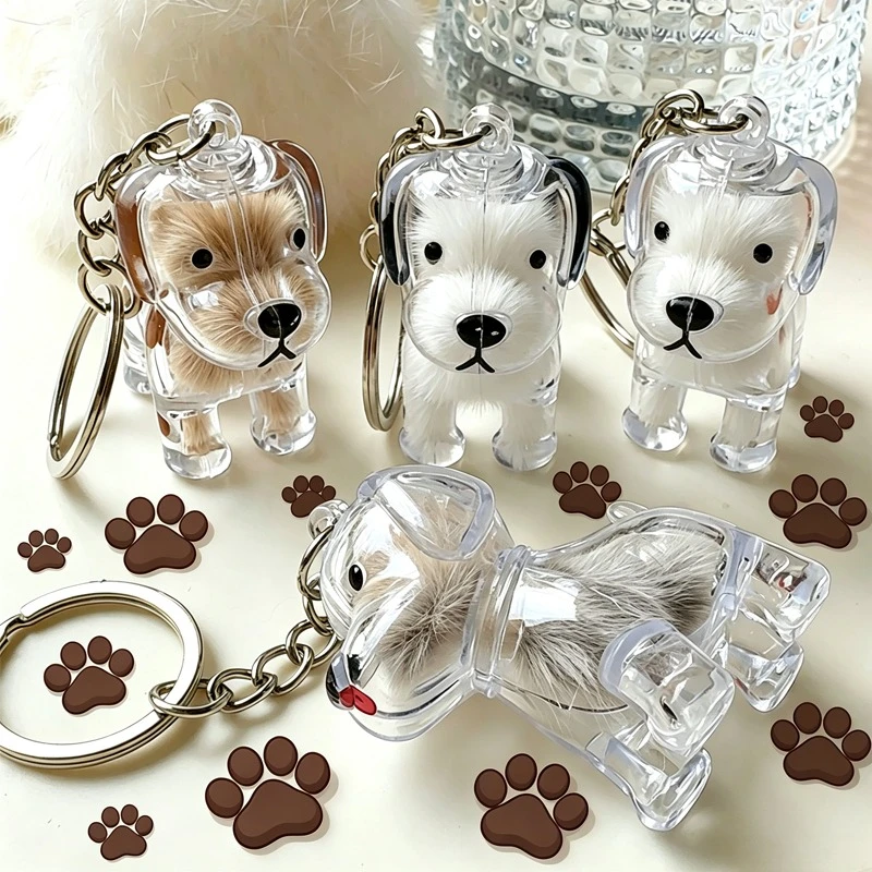 Pet Hair Storage Keychain Transparent Dog Cat Locket Clear Container for Fur Memorial Keepsake Bag Charm Gift for Pet Enthusiast